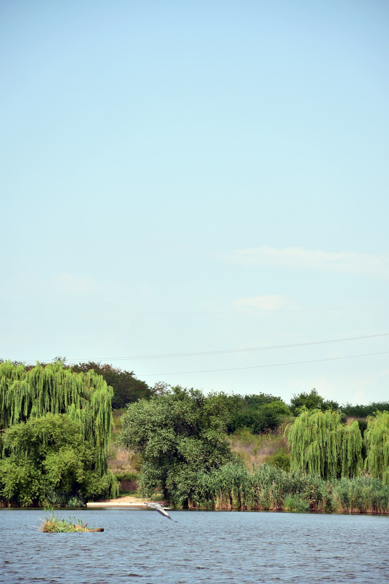 Tancabesti 5 august 2022 - DSC7797.jpg